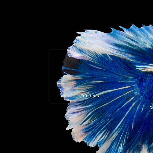 日本特级黄色录像片人与狗性交免费播放
